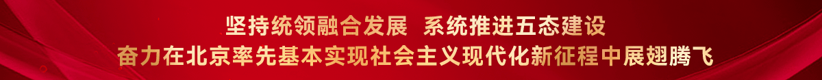 坚持统领融合发展 系统推进五态建设 奋力在北京率先基本实现社会主义现代化新征程中展翅腾飞