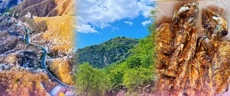 1.webp.jpg