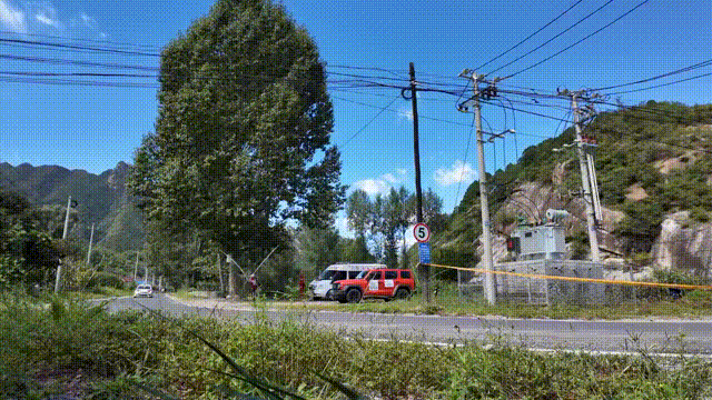 3.gif