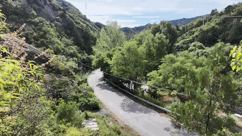5.gif