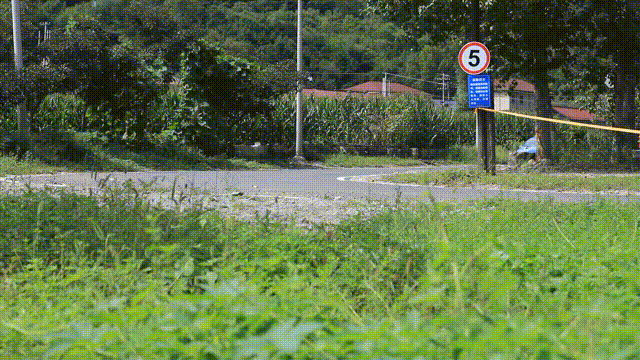 7.gif