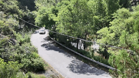 9.gif