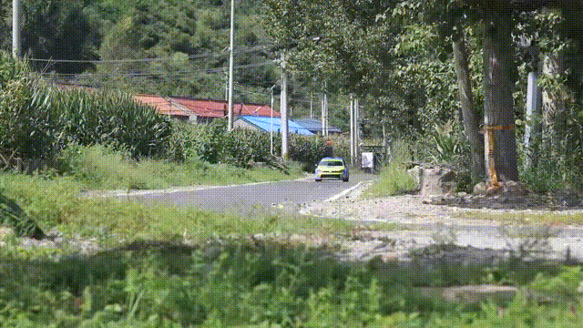 12.gif