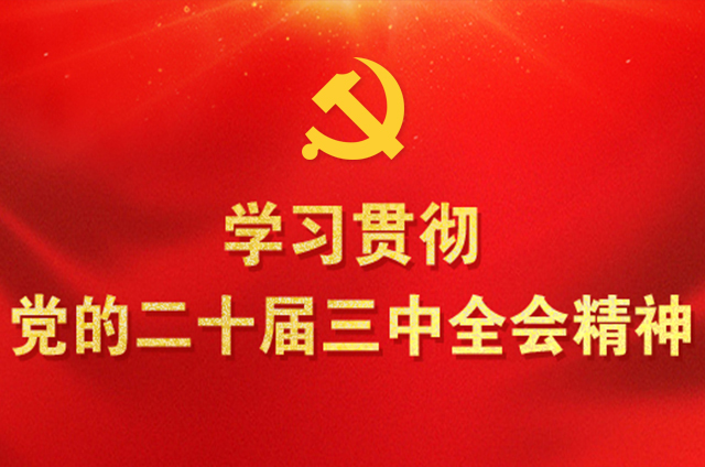 学习贯彻党的二十届三中全会精神