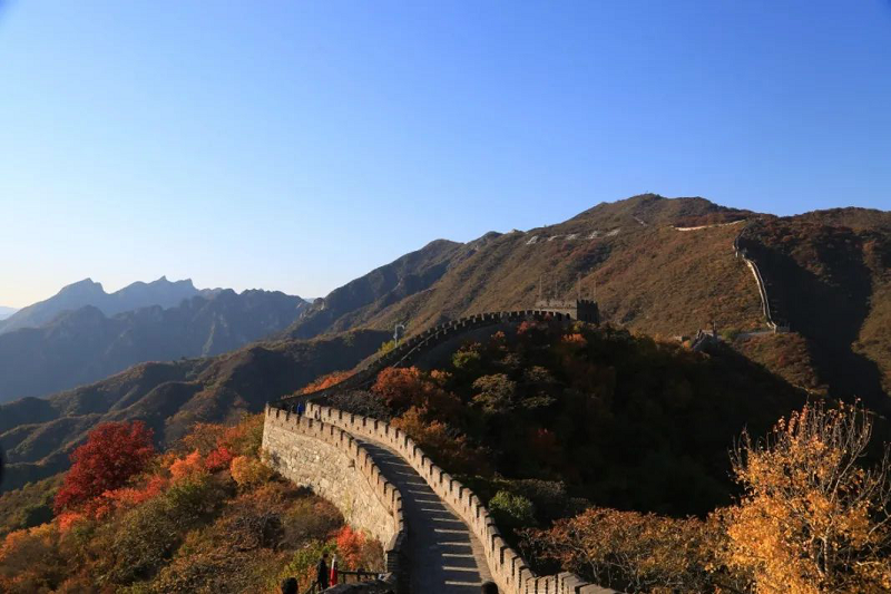 图片2.png