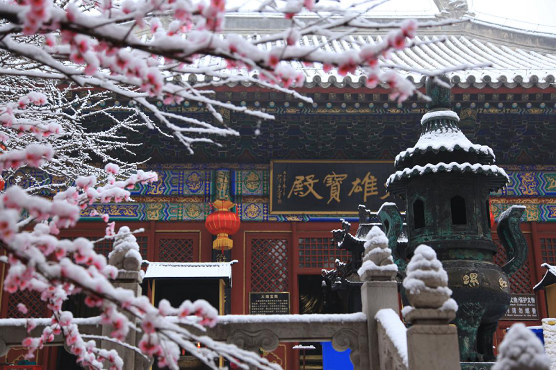 图片5.png 图片5.png