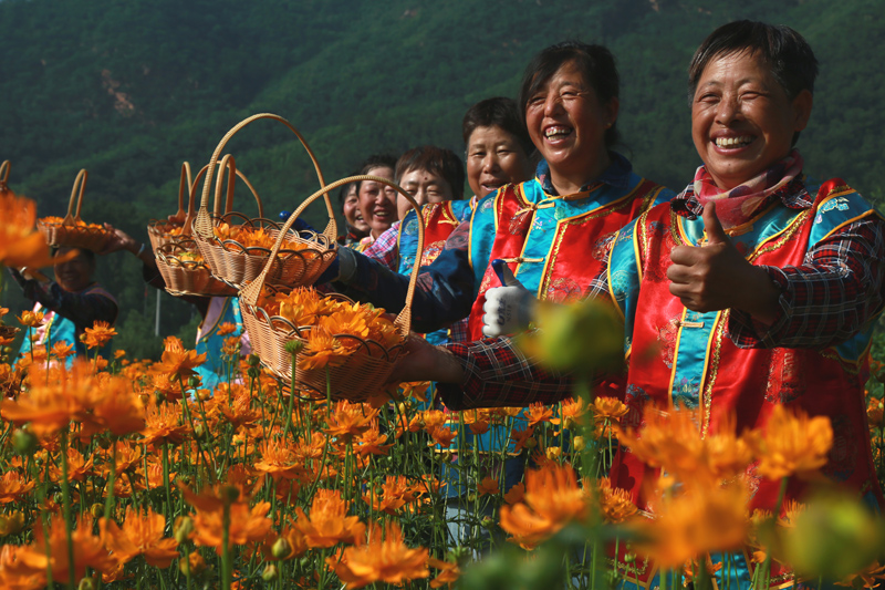 花开富民（喇叭沟门）