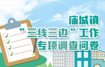 庙城镇“三线三边”工作专项调查问卷