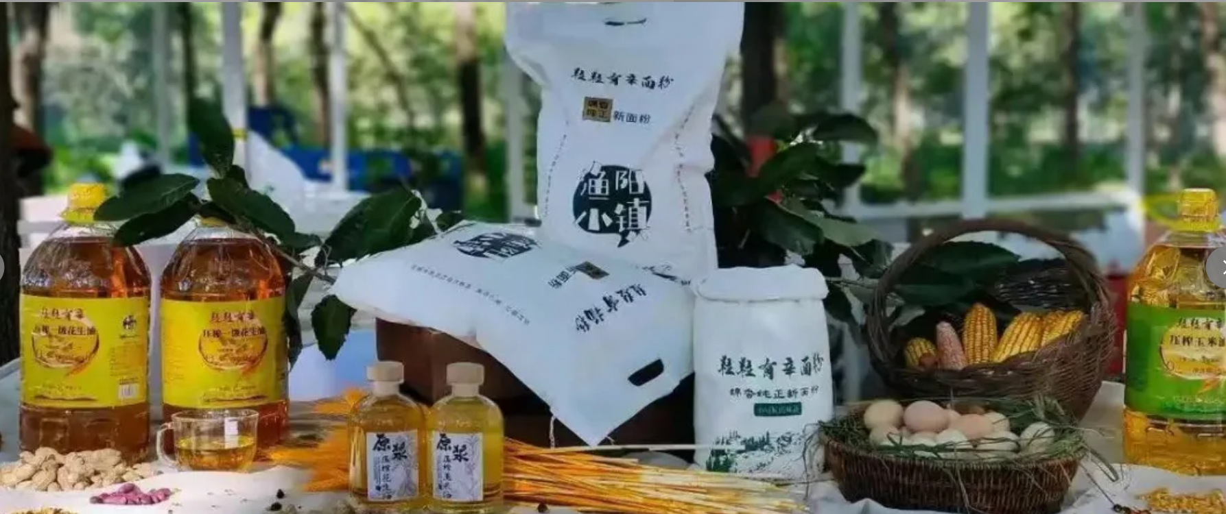 市集1.png 市集1.png