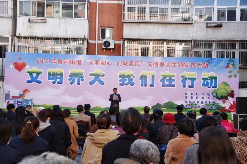 泉河养犬.jpg