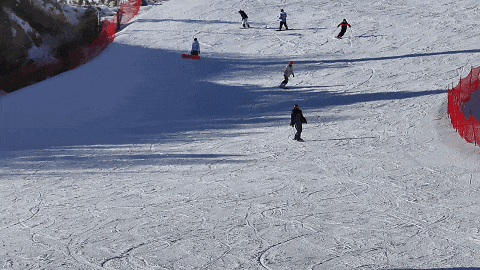 3.gif