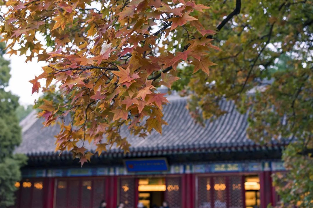 旅游安全.jpg