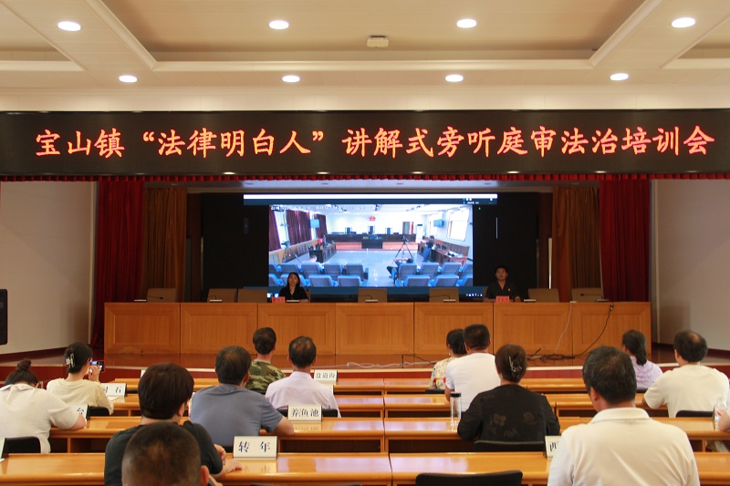 宝山镇法律明白人讲解式旁听庭审活动.jpg