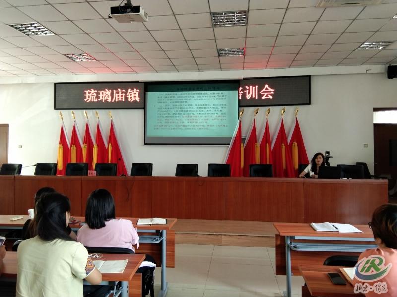 琉璃庙镇财务管理指导2